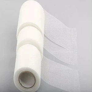 Fiberglass Mesh